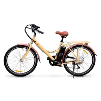 Электровелосипед Hoverbot CB-6 Urban 