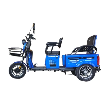 Электротрицикл Fududu Q2 Синий