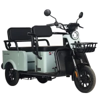 Электротрицикл Wanshida LC-F150 60V 1000Вт Серый