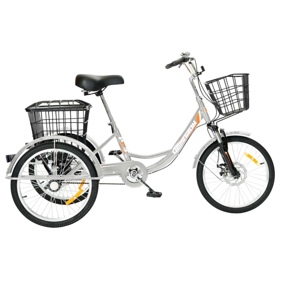 Трехколесный велосипед для взрослых РВЗ Чемпион 20" 1 скорость серебристый 2